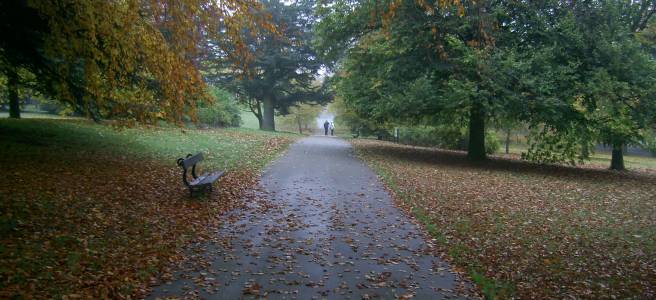 glorious colurs at Roundhay Parko