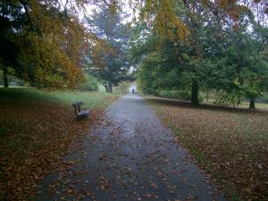 glorious colurs at Roundhay Parko