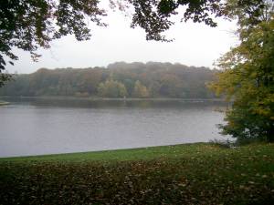 Waterloo Lake, Roundhay Park