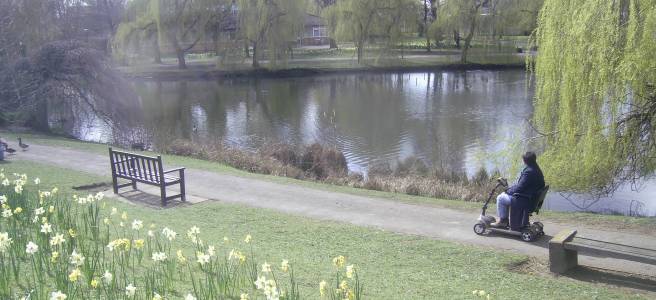 York University campus