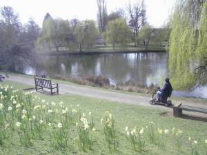 York University campus