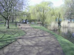 York University campus