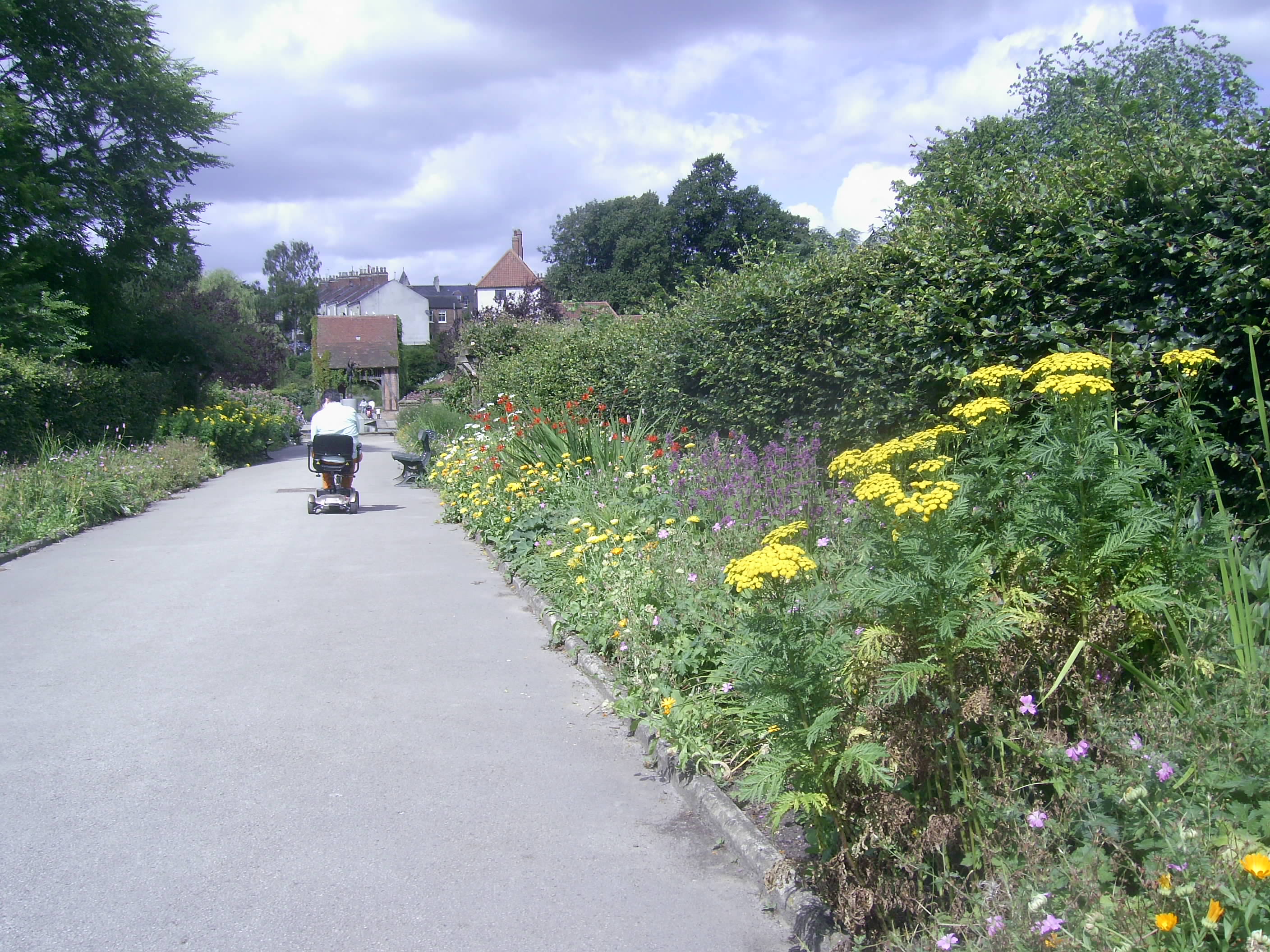 Rowntree Park in Summer