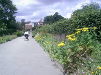 Rowntree Park in Summer