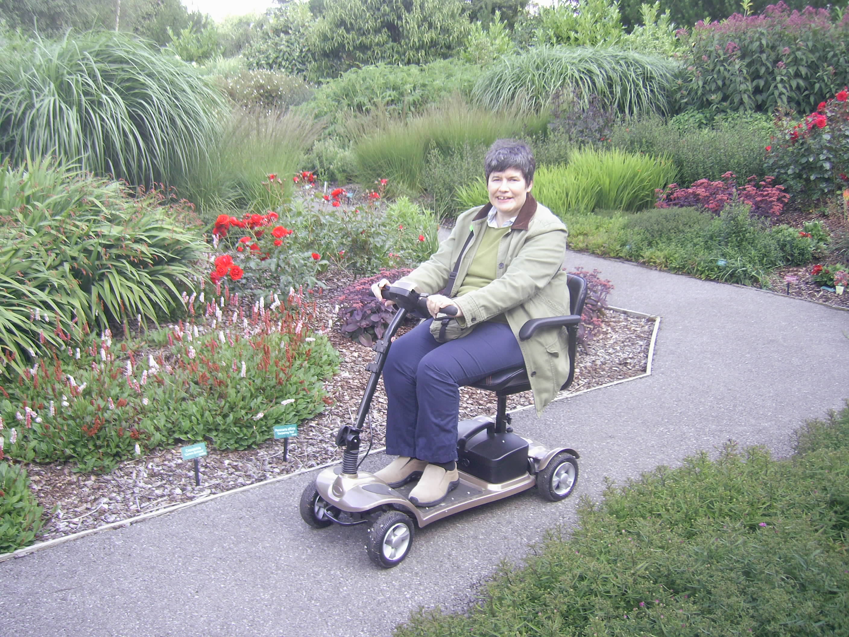 Breezy Knees, near York