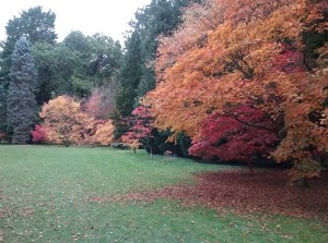 Thorp Perrow