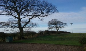 Generating their own electricity