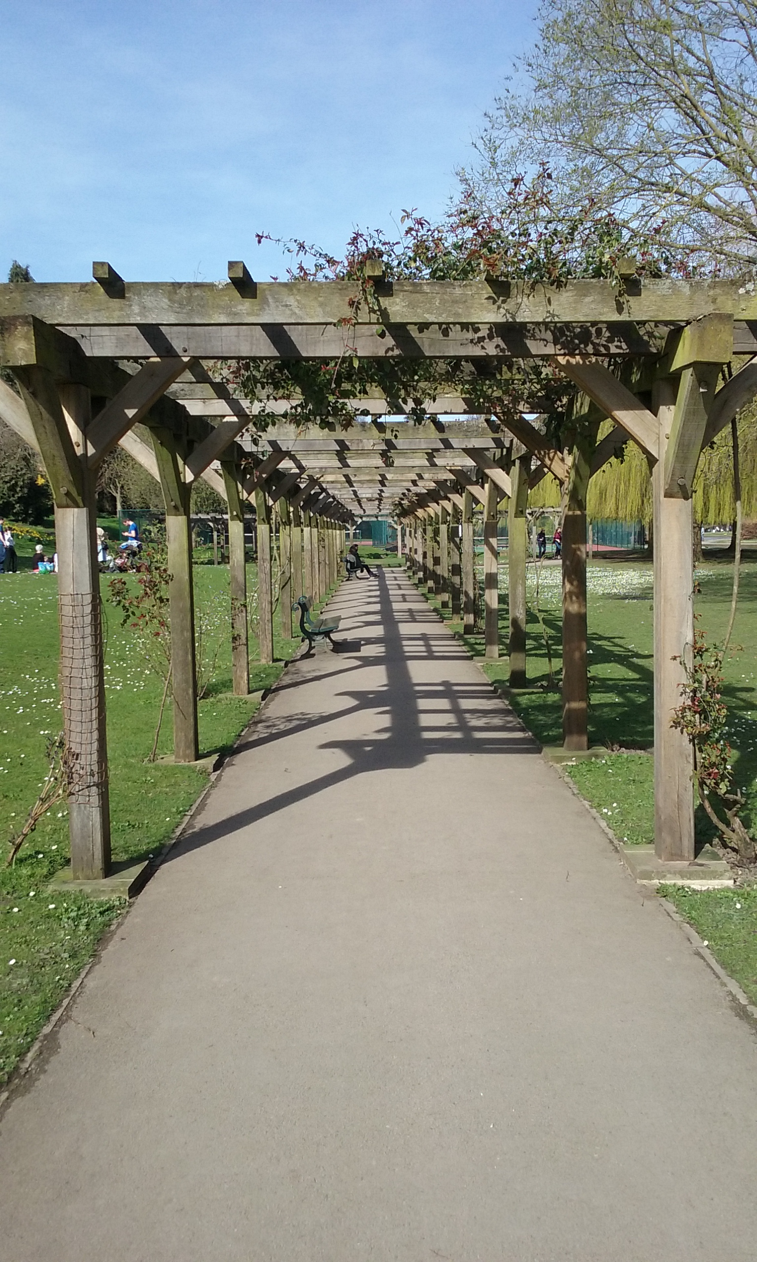 Pergola, Rowntree Park, York