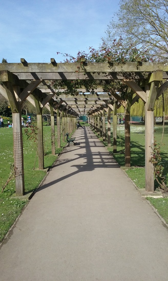 Pergola, Rowntree Park, York