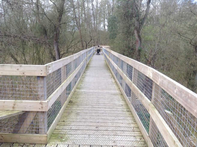 Sculthorpe Moor Nature Reserve
