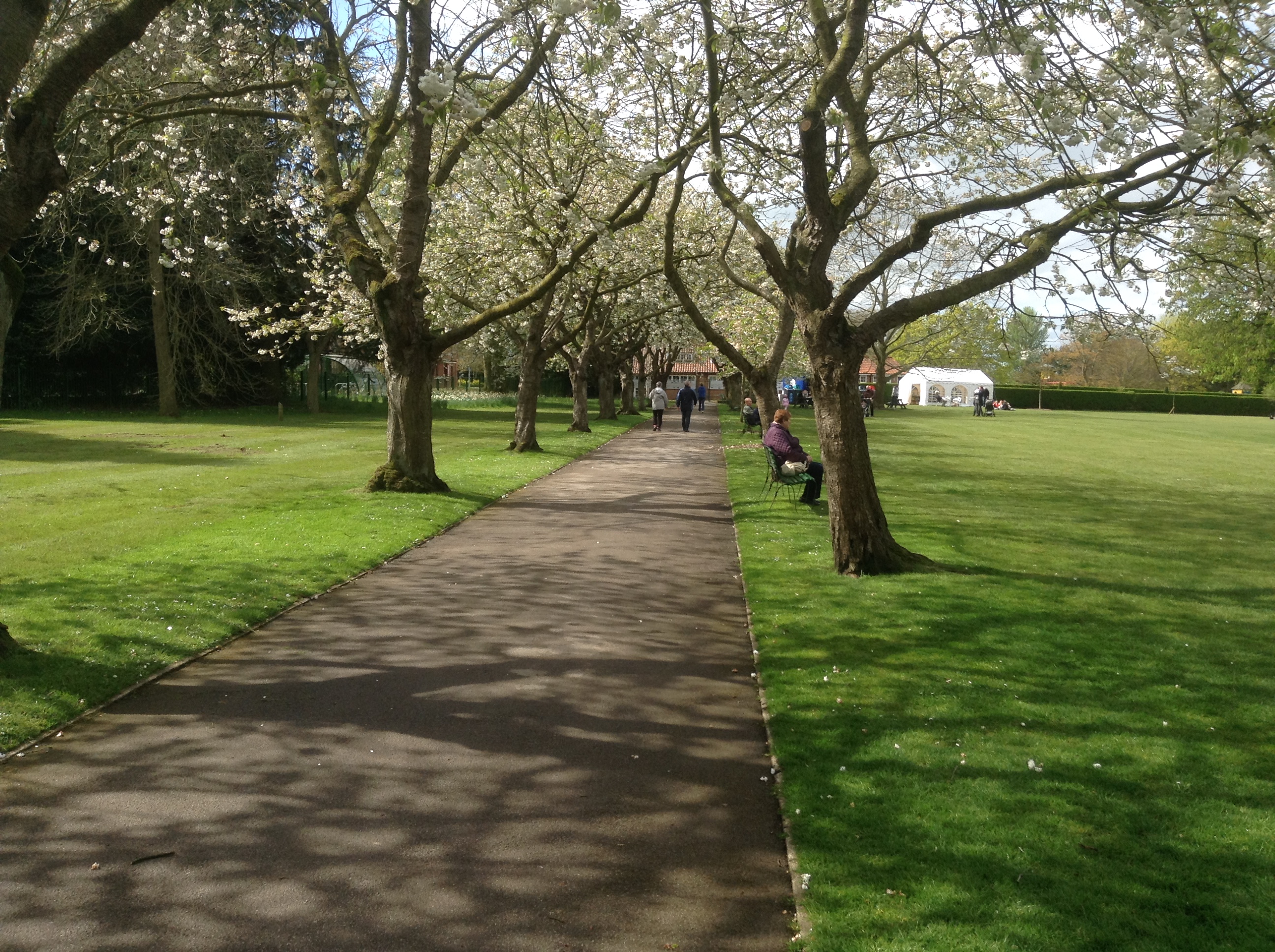 Blossom at The Homestead, York