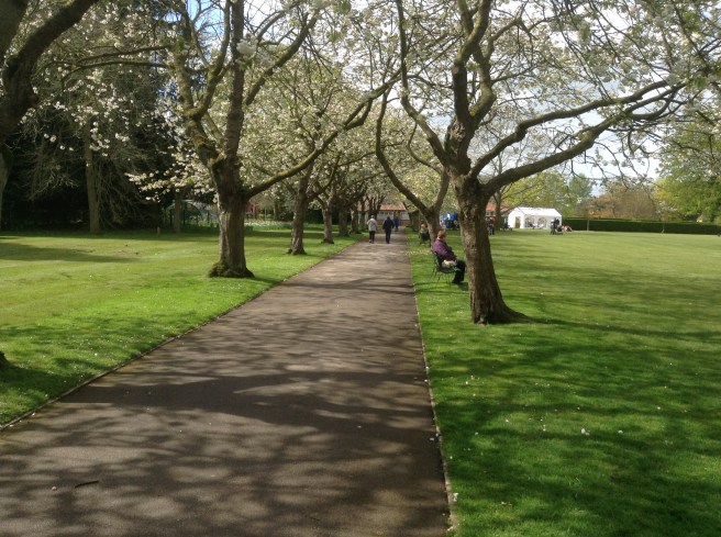 Blossom at The Homestead, York