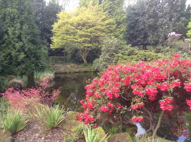 The pond, The Homestead