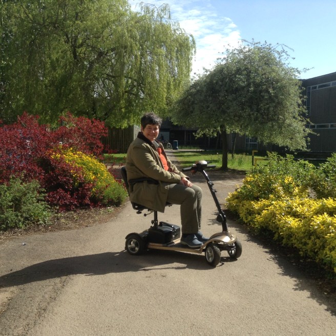 York University campus