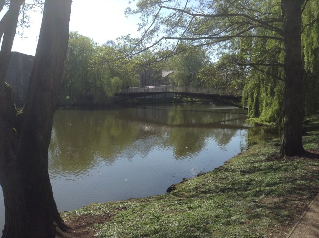 York University campus