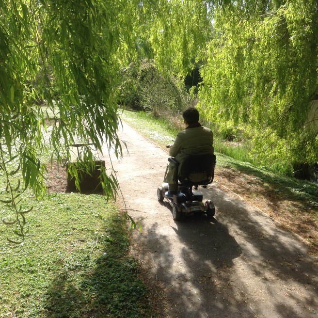 York University campus