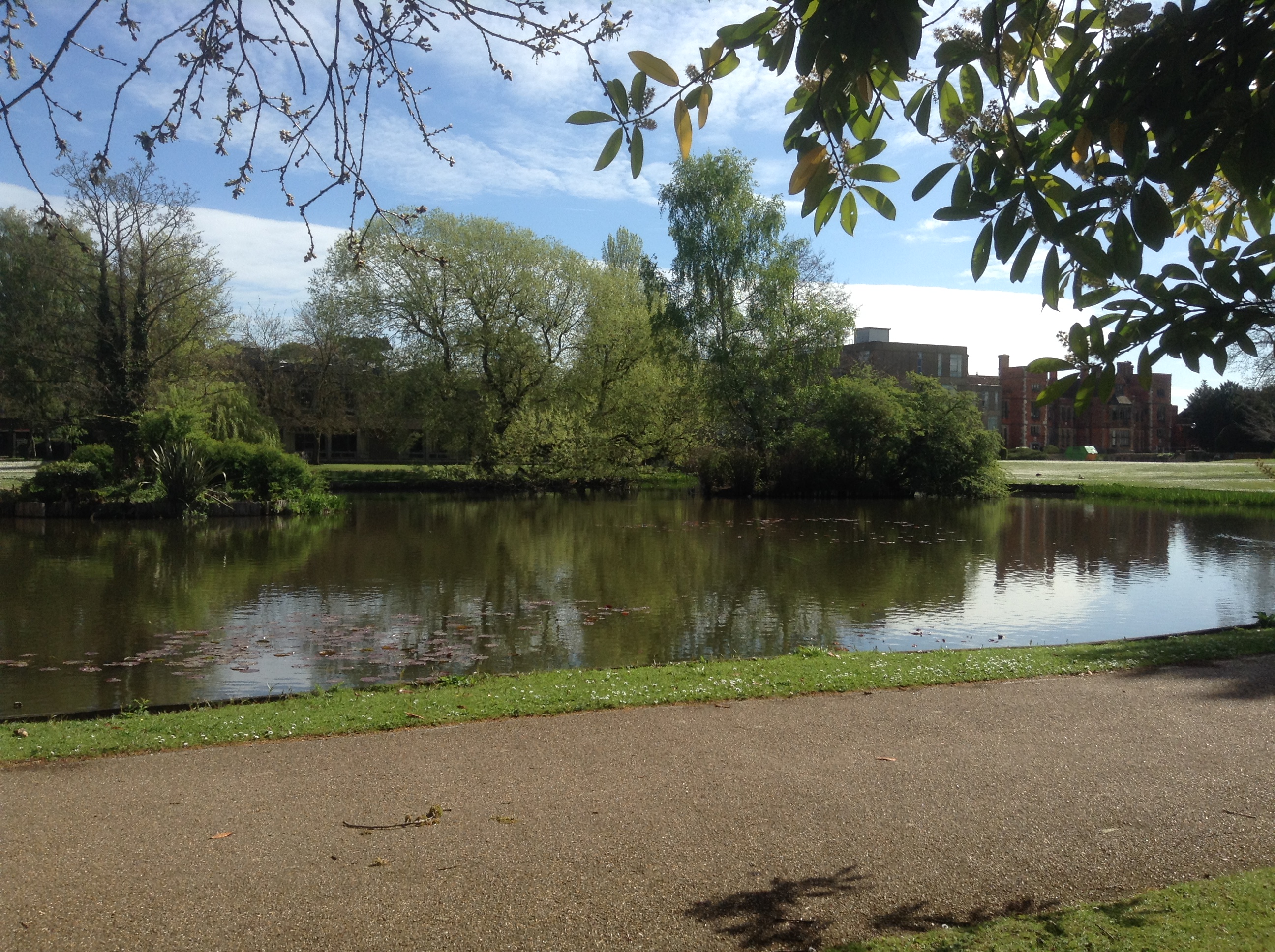 York University campus