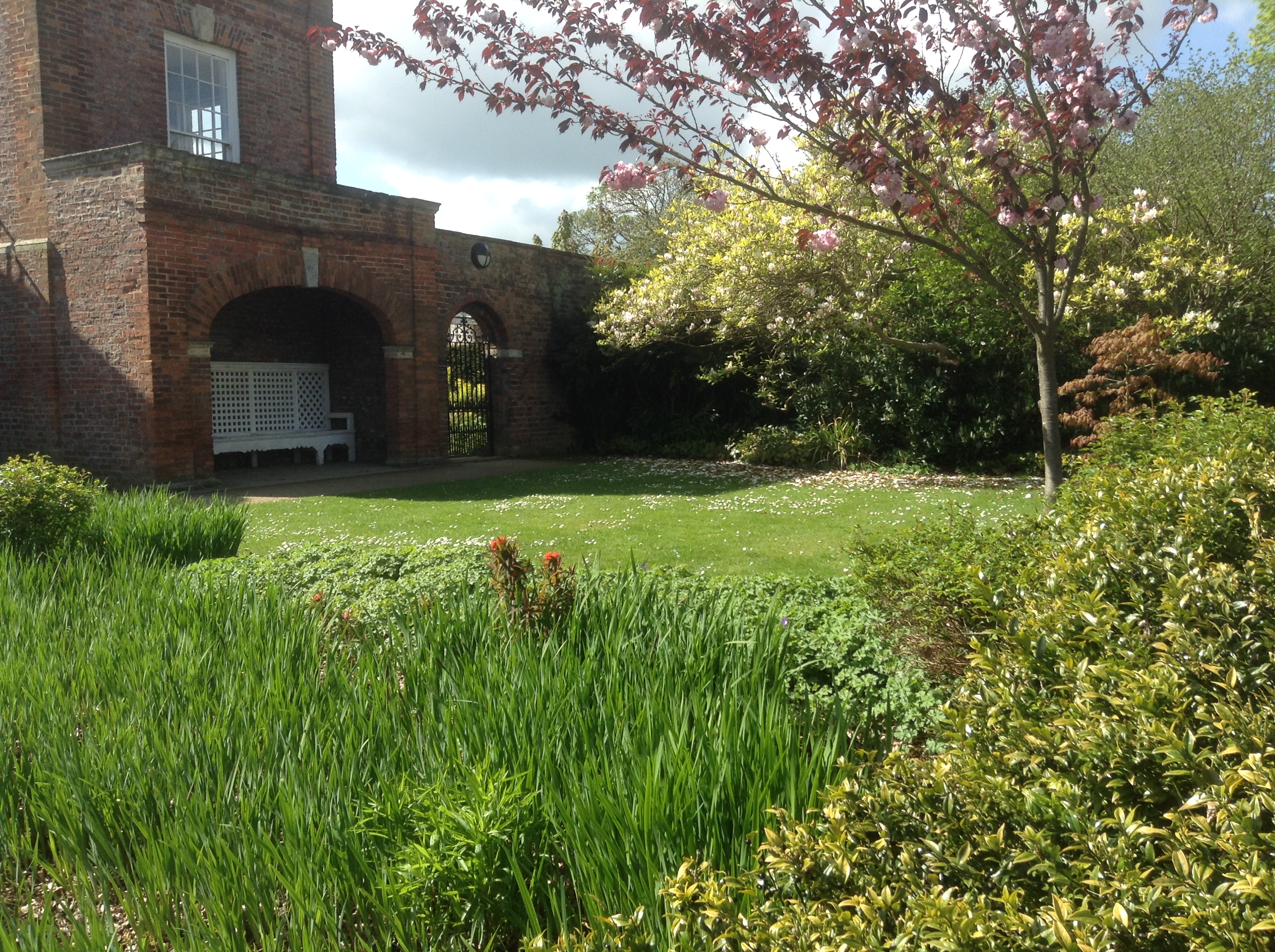 York University campus