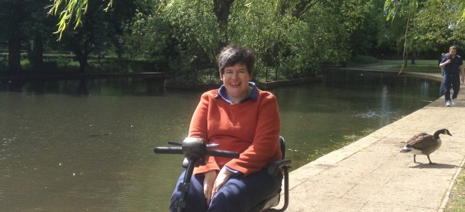 Island in the lake, Rowntree Park