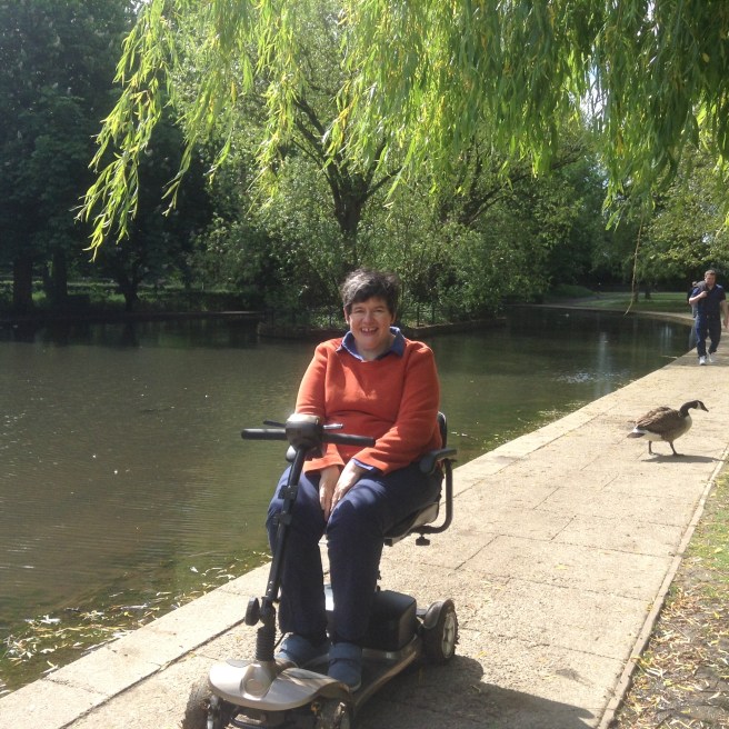 Island in the lake, Rowntree Park