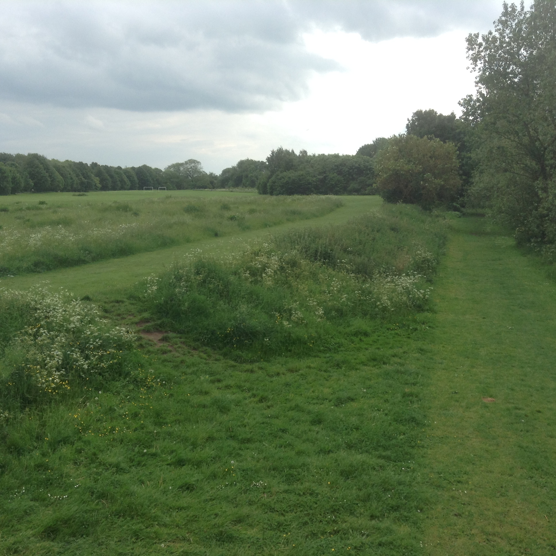 River bank by the Millennium Bridge