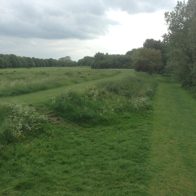 River bank by the Millennium Bridge