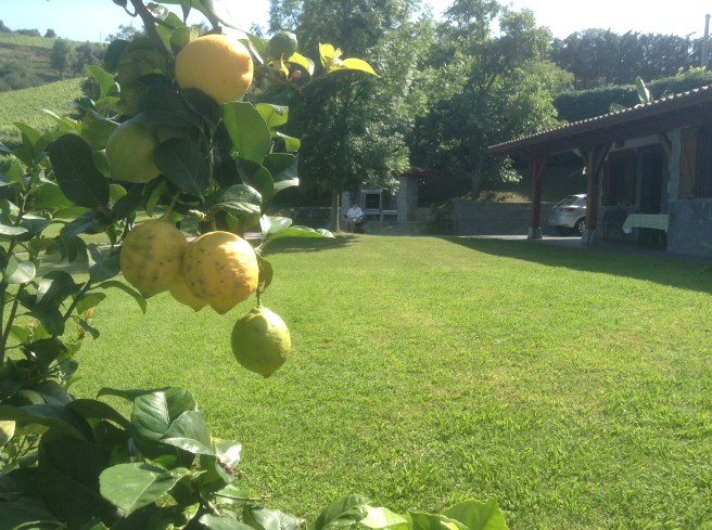 Epotx Etxea, Getaria, Pais Vasco