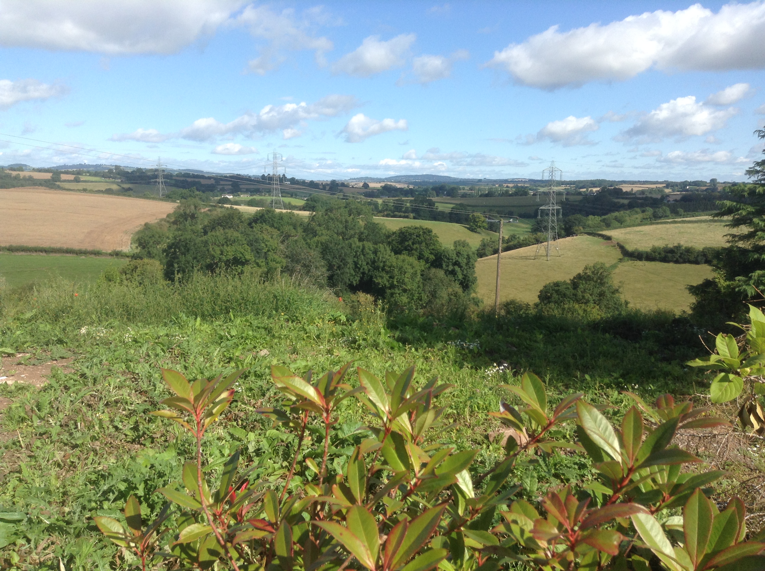 Fabulous view from Thatch Close Cottages, Llangrove, Herefordshire
