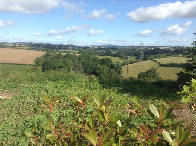 Fabulous view from Thatch Close Cottages, Llangrove, Herefordshire