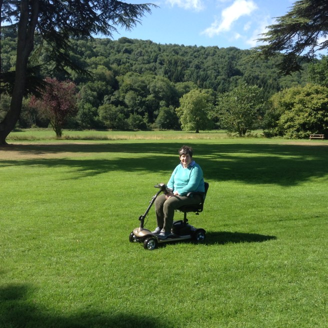 The lawns, Hampton Court Castle, Herefordshire