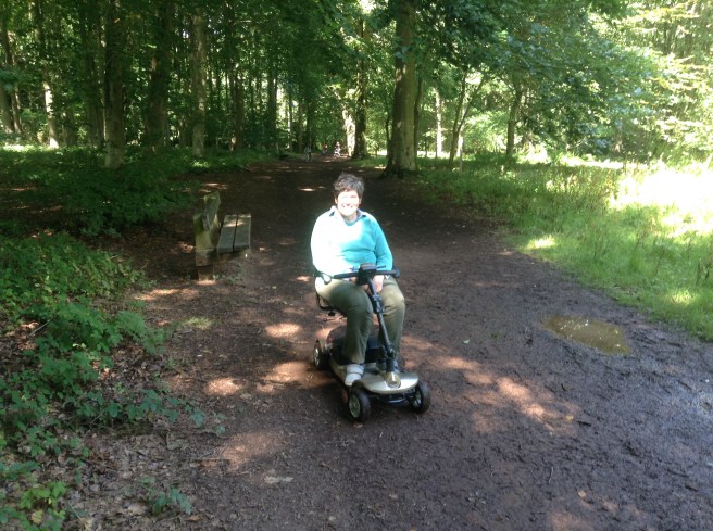 Queenswood Country Park and Arboretum, Herefordshire
