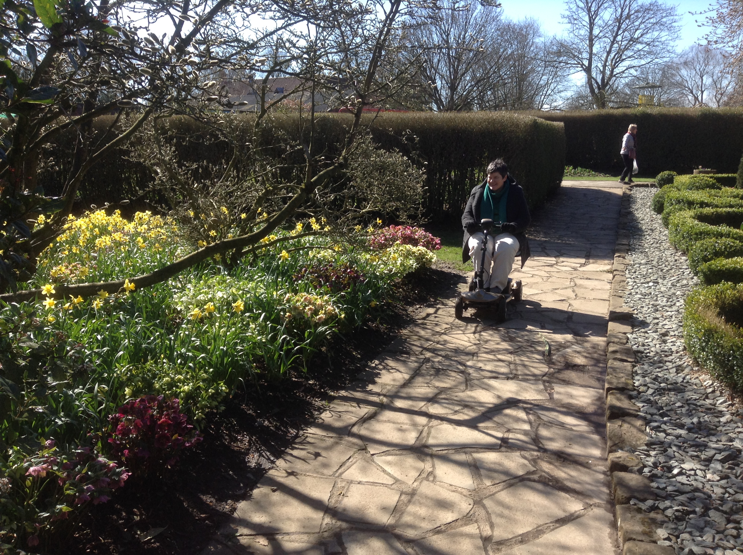 Spring flowers at The Homestead