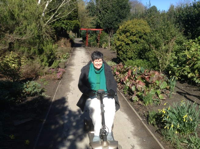 Gearing up for Spring at The Homestead