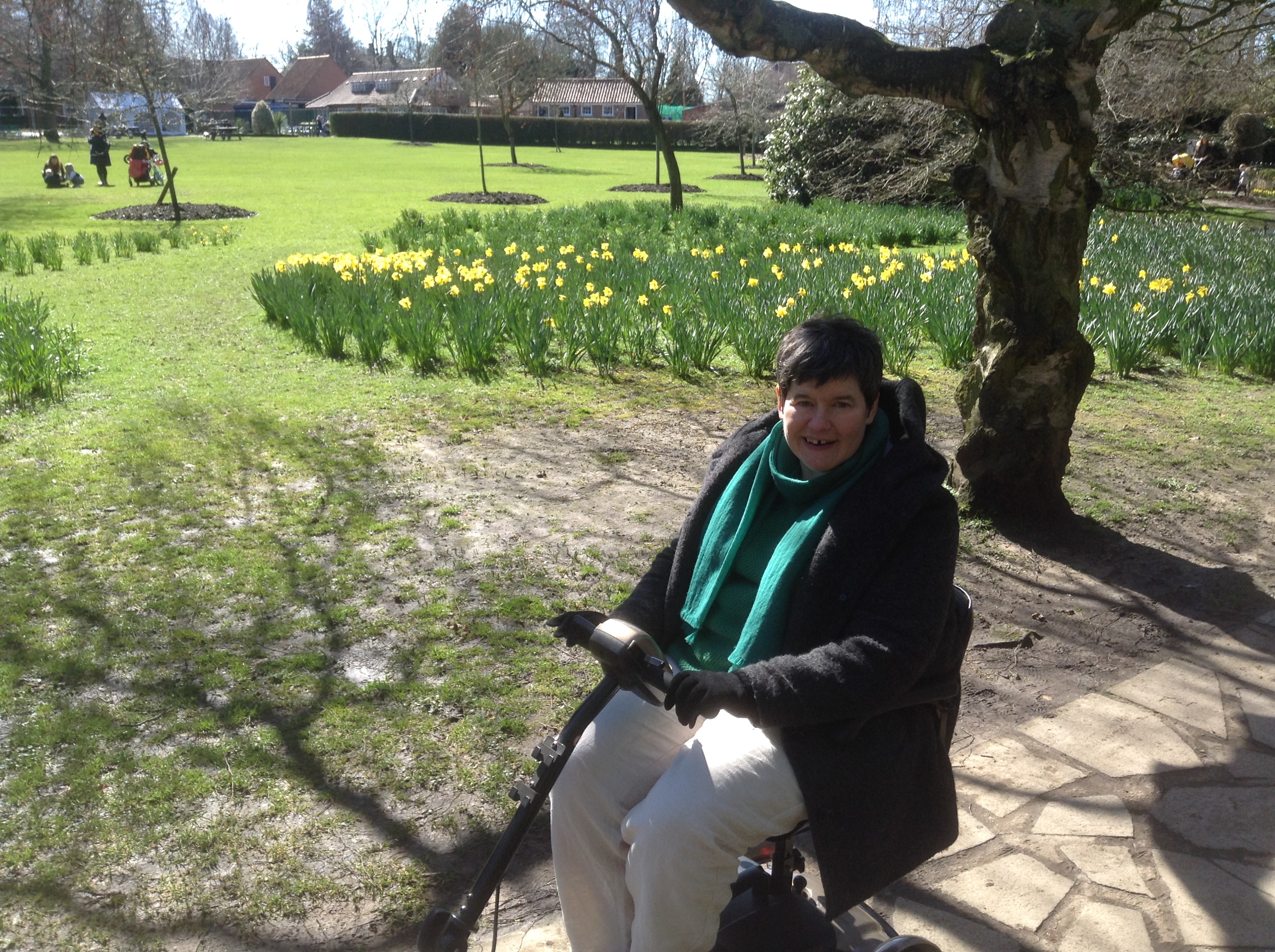 Plenty of daffodils are already out at The Homestead