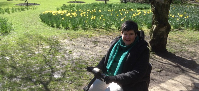 Plenty of daffodils are already out at The Homestead