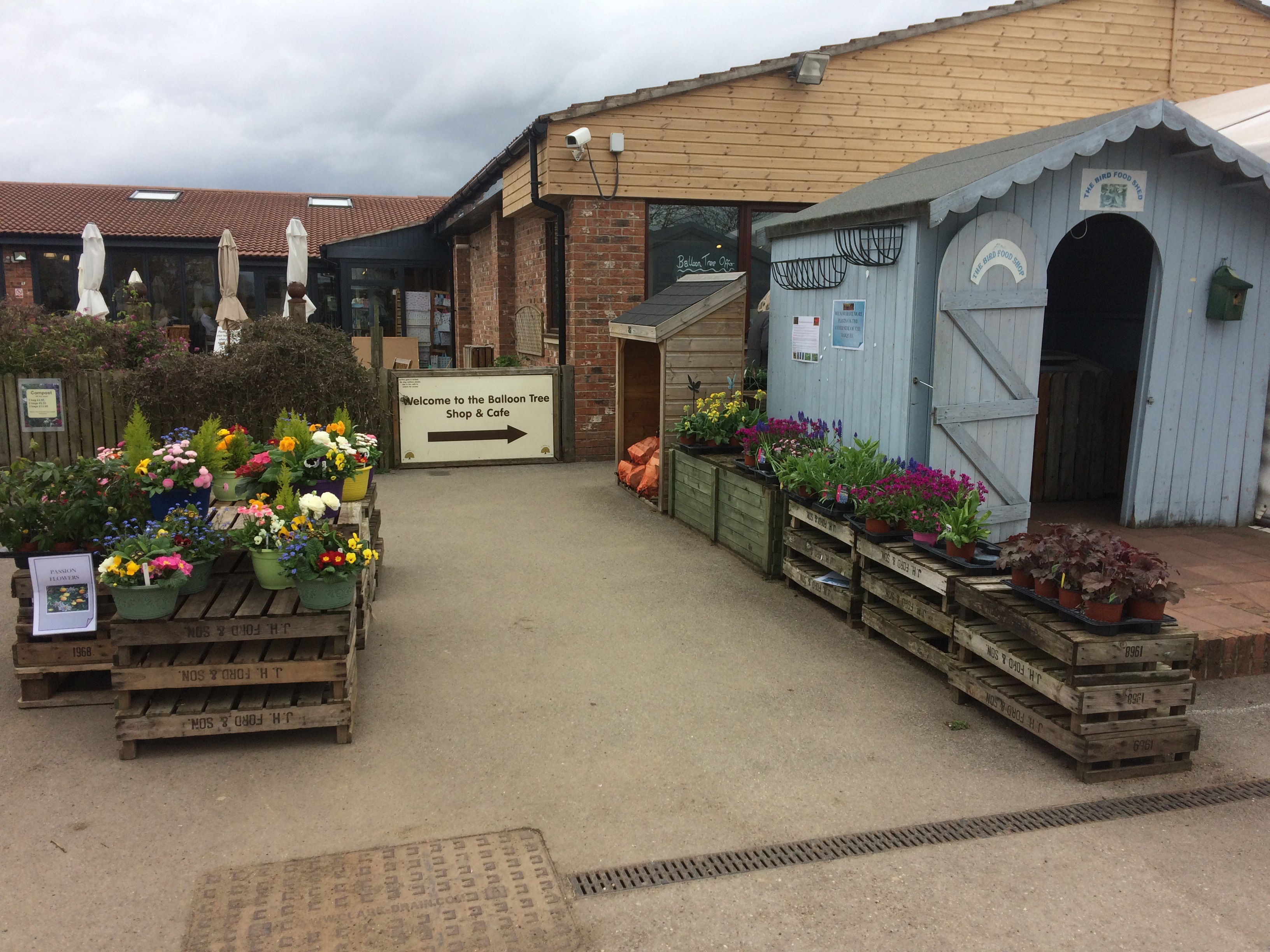 The Balloon Tree , Gate Helmsley