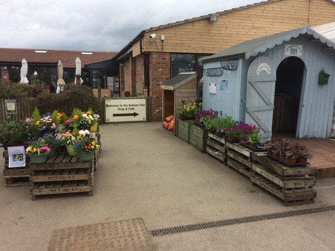 The Balloon Tree , Gate Helmsley