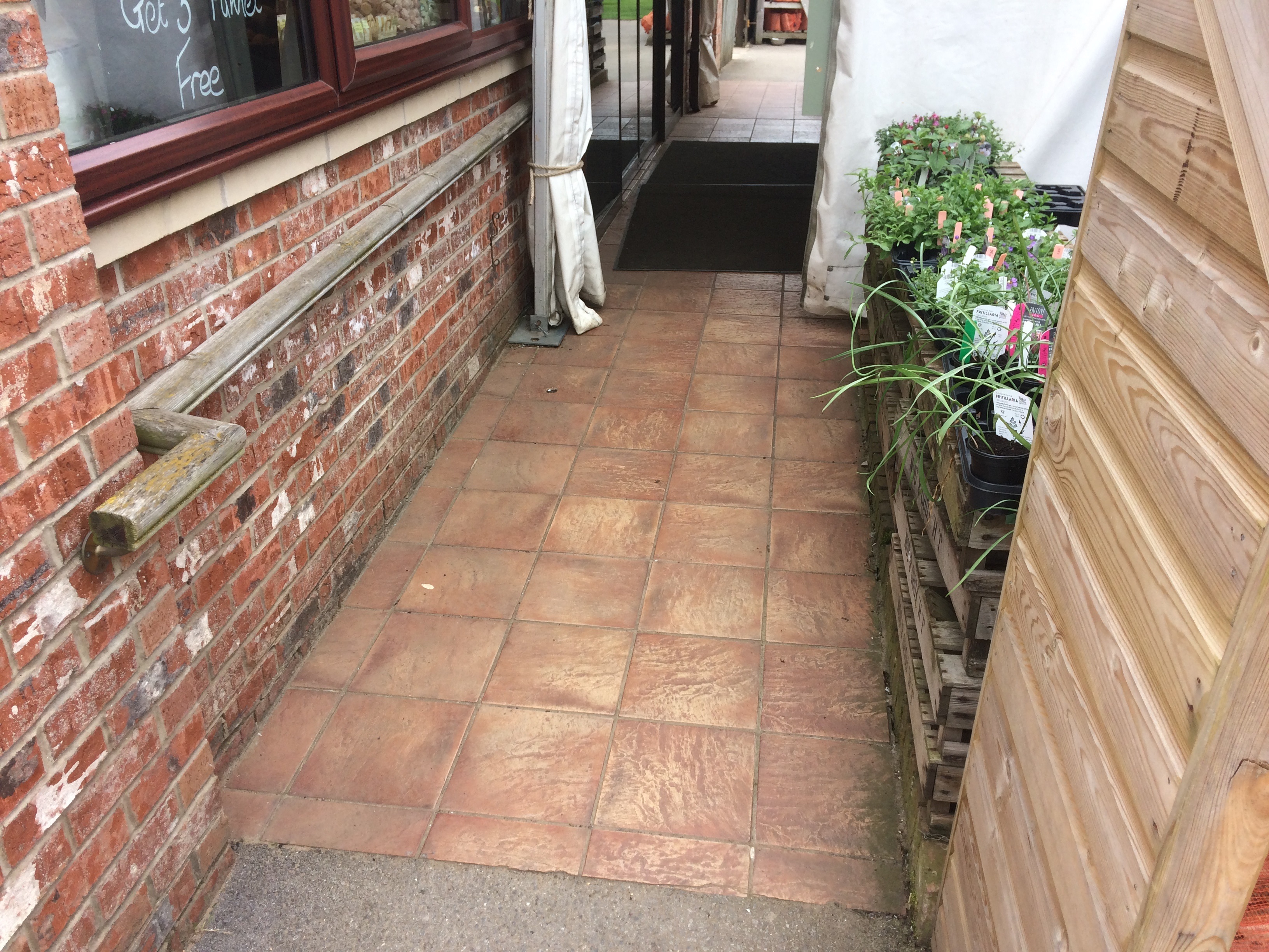 Entrance to The Balloon Tree