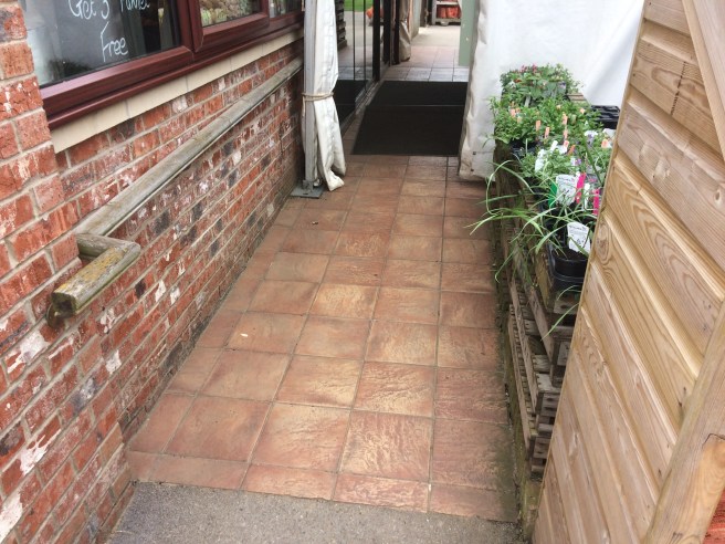 Entrance to The Balloon Tree