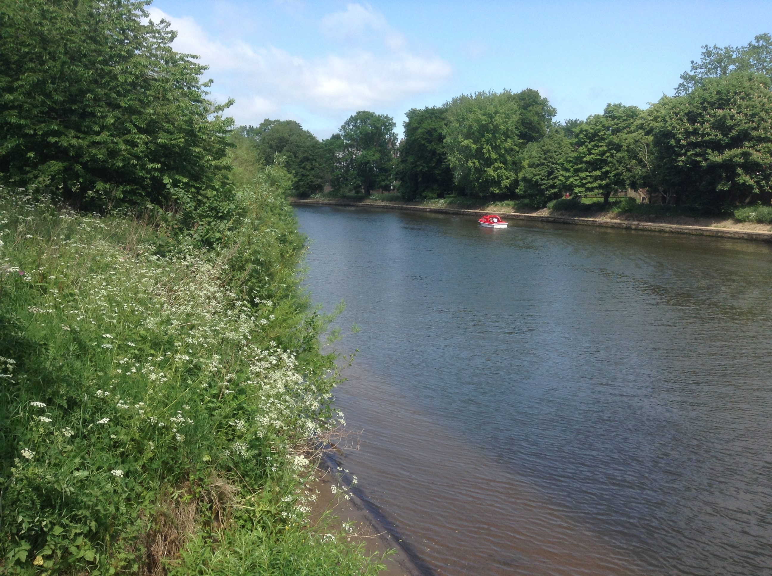 River bank, York