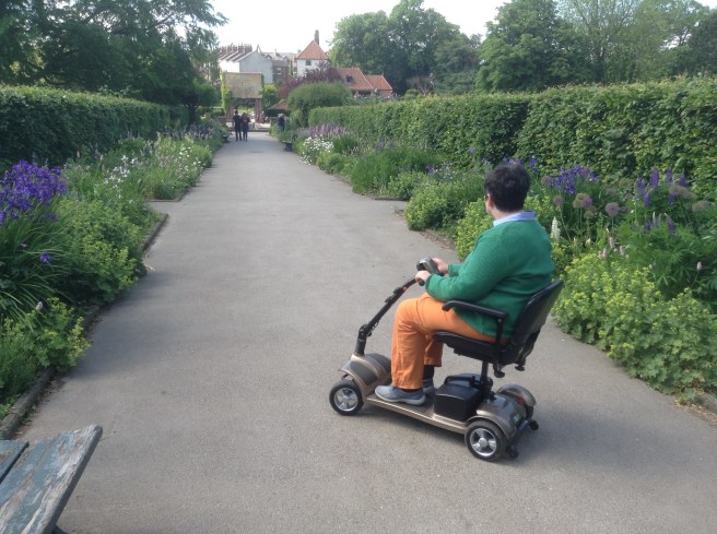 Flower borders, Rowntree Park