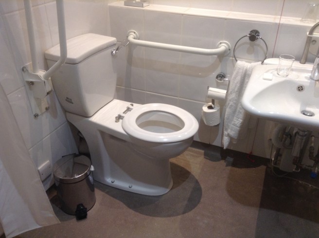 Not much room to access the loo!