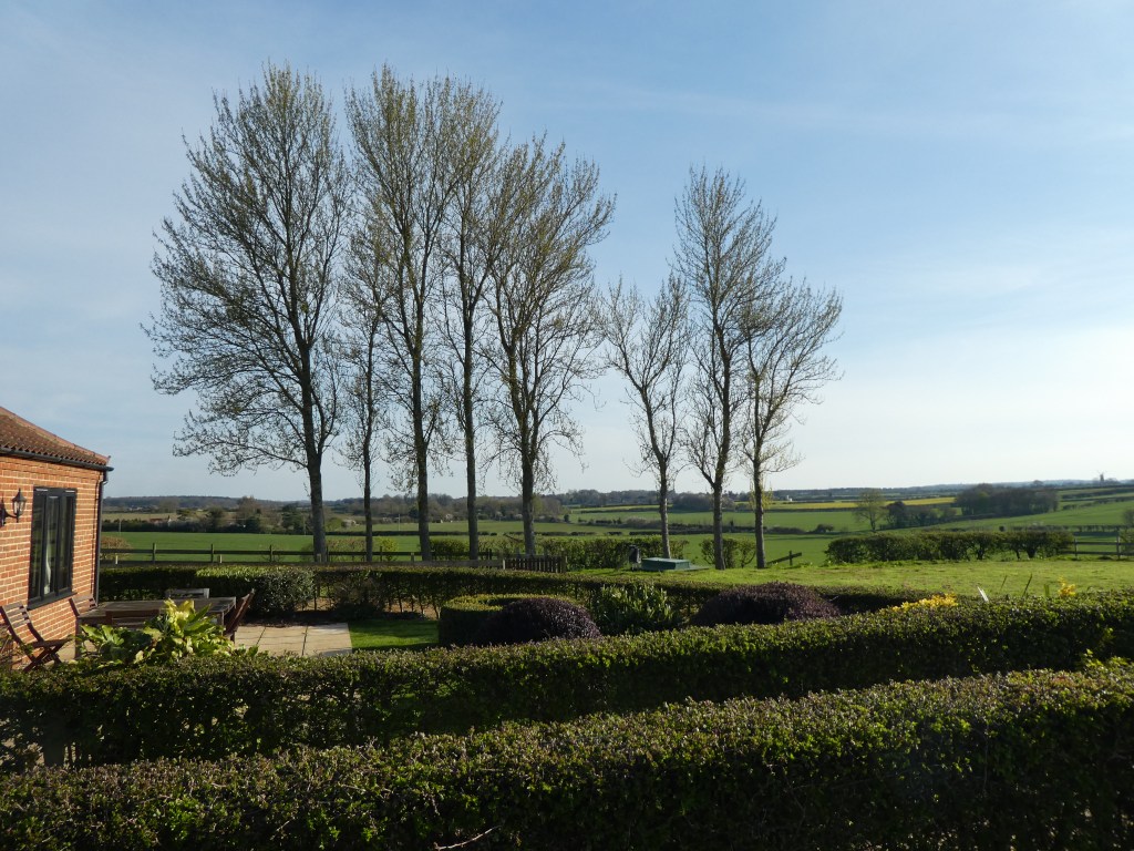 Great view from The Little Workshop