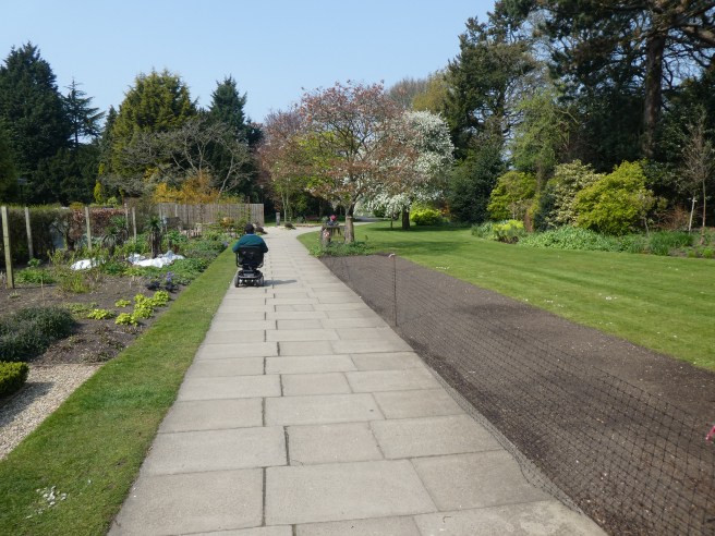 Always improvements going on at Homestead Park, York