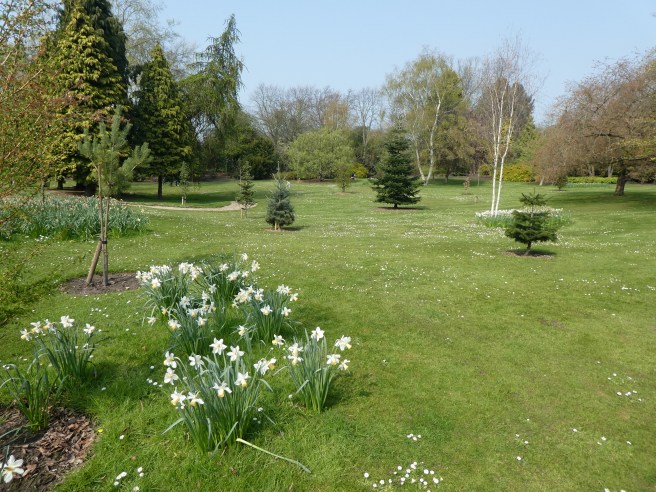Homestead Park, York