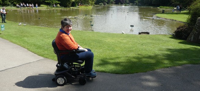 The Upper Lake, Burnby Hall Gardens