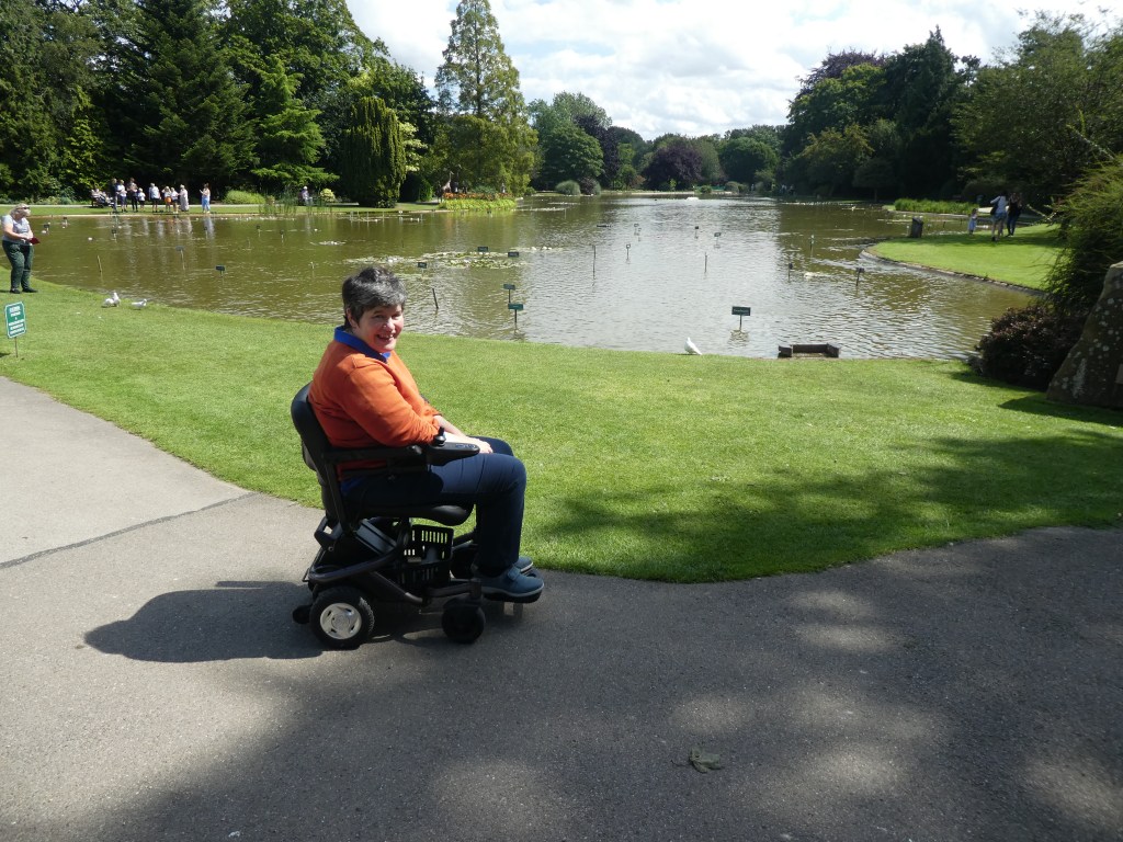 The Upper Lake, Burnby Hall Gardens