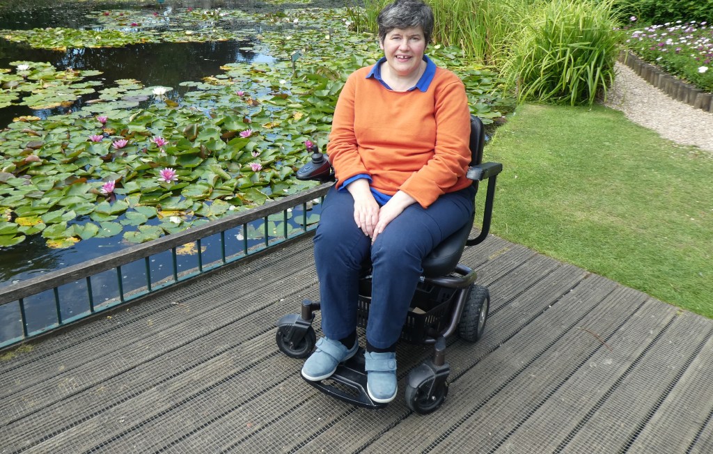 Accessible viewing platform at Burnby Hall Gardens