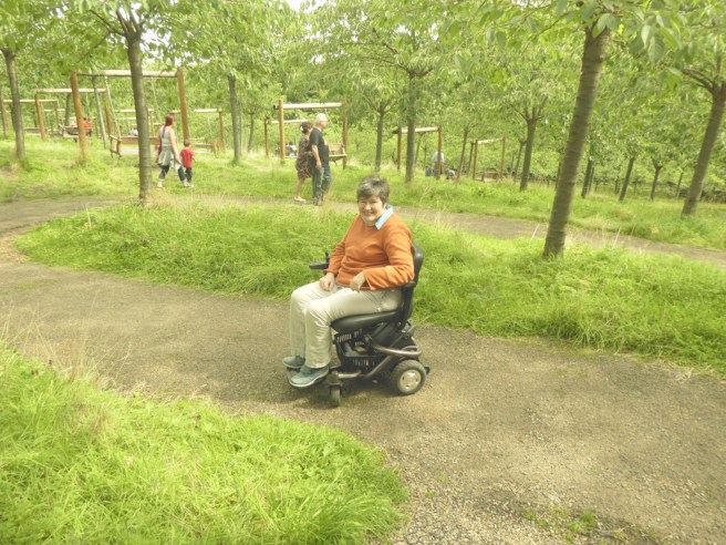 The slope down through the Cherry Orchard