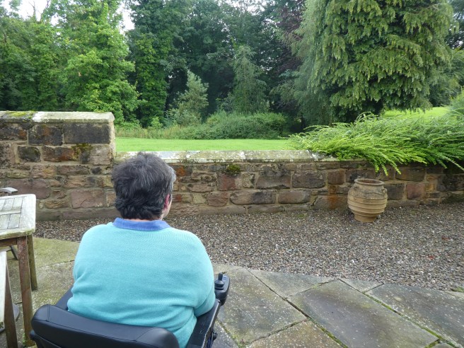 Looking out from the courtyard garden at Fox Cover